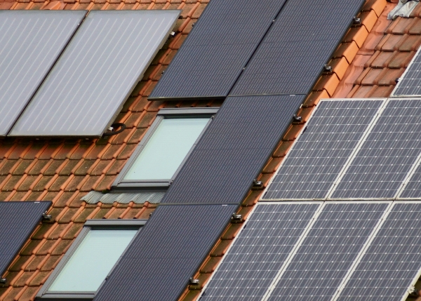 pexels budget bizar 92378004 30440447